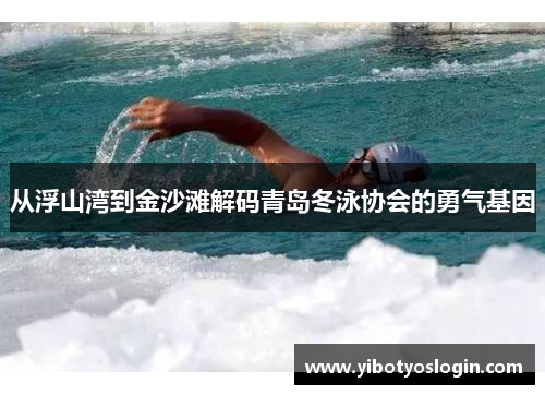 从浮山湾到金沙滩解码青岛冬泳协会的勇气基因